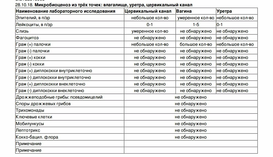 Палочки в мазке у женщин. Норма анализа микробиоценоз. Грамположительные палочки в мазке норма. Микробиоценоз анализ у женщин. Грам палочки в мазке у женщин.