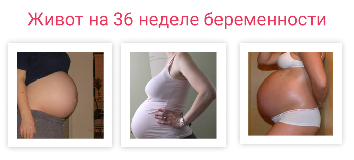 37 недель боли форум. Живот на 36 неделе. Животик на 36 неделе беременности. Болит живот на 36 неделе беременности.