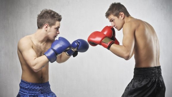 Два боксёра