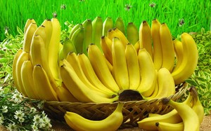 Бананы при беременности на ранних сроках