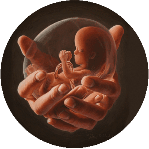 Эмбрион в руках