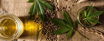 Medical Cannabis - Fact Myth Module