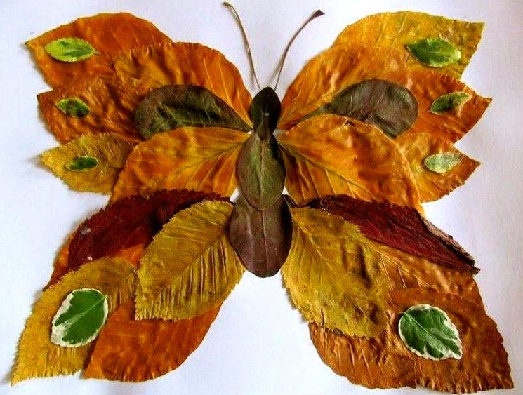 Как сделать бабочку из листьев в детский сад